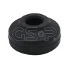 G513254