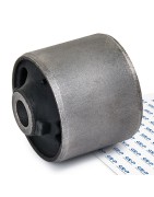 Buje/Bushing