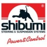SHIBUMI